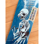 Birdhouse Tony Hawk Full Skull 2 - 9.75" Deck